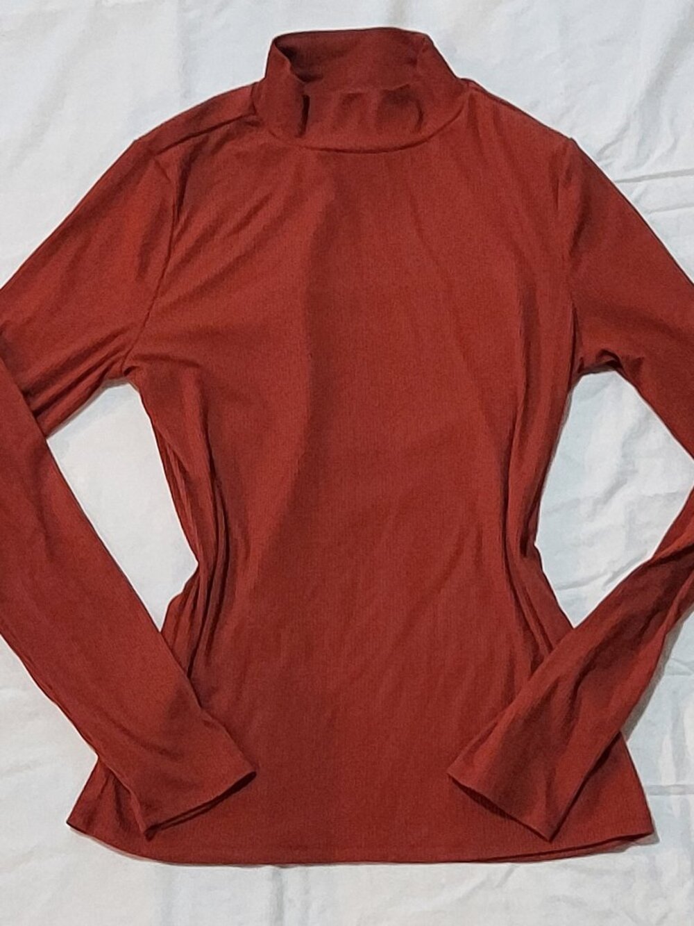 Burnt Orange Turtleneck Shirt